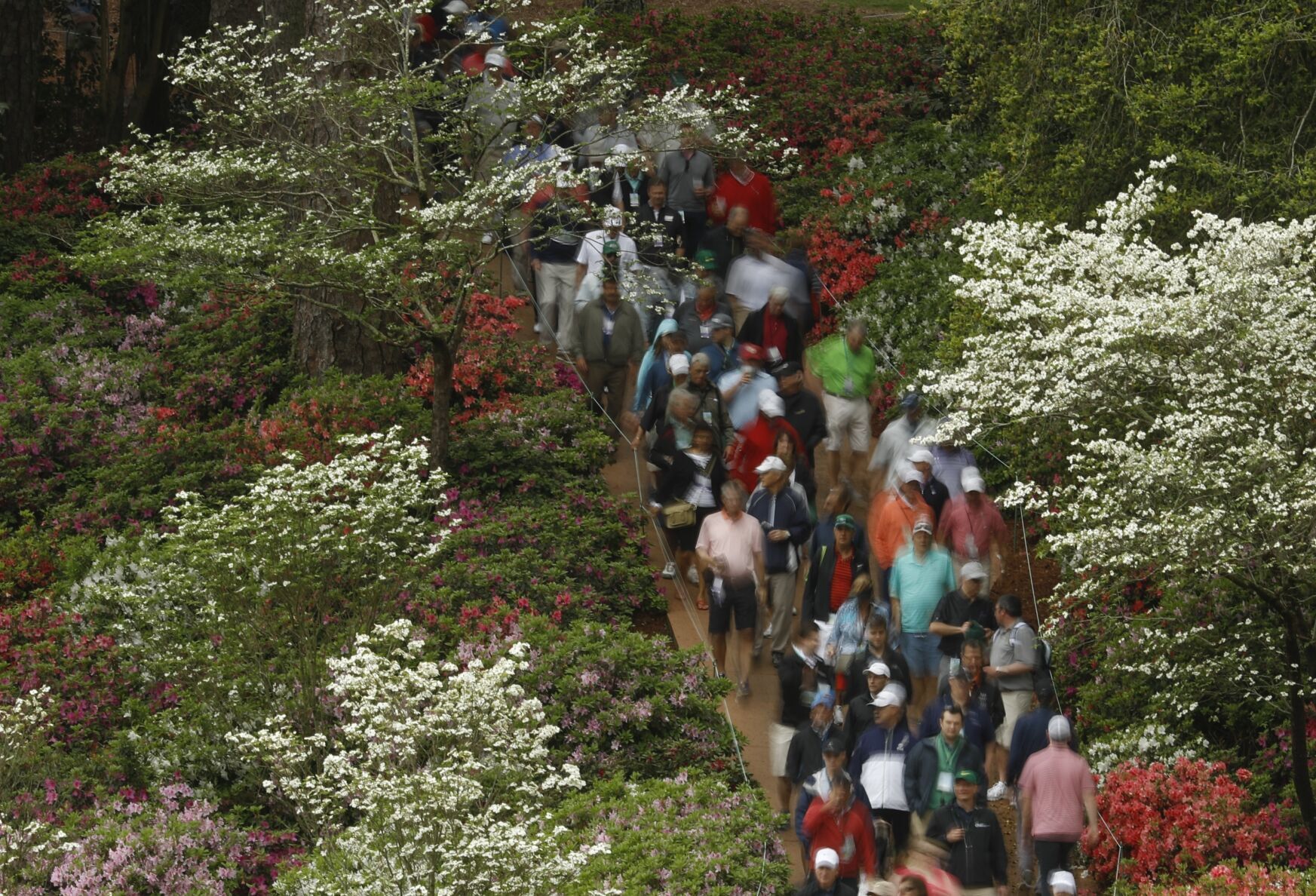 Masters Golf Photo Gallery